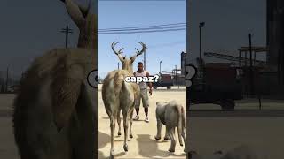 Animales VS Tren de GTA 5 [upl. by Behm893]