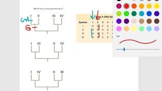 Find the most parsimonious tree [upl. by Zsuedat]