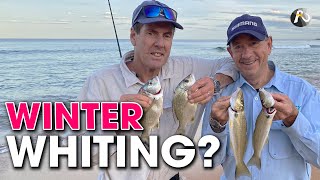 Beach Fishing SYDNEY Soft Plastics  Bait  Worms  Multiple Species [upl. by Llekcm]