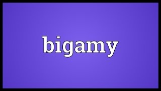 Bigamy Meaning [upl. by Allecram768]