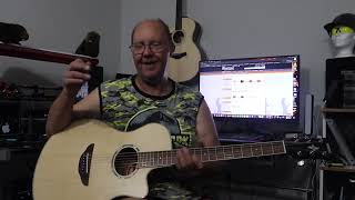 Yamaha APX600 NT Acoustic Guitar Review [upl. by Dimo]