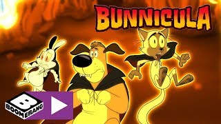 Bunnicula  Free Bunnicula  Boomerang UK 🇬🇧 [upl. by Boru]