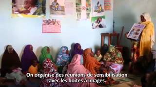 Améliorer la nutrition à Djibouti [upl. by Sucul]