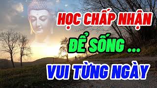 Học Cách Bình Thản Để Sống Vui Từng Ngày  Suy Ngẫm Sự Đời  Chánh Pháp Tuệ Giác [upl. by Ahsenid]