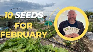 SEEDS TO SOW IN FEBRUARY 2024  ALLOTMENT GARDENING FOR BEGINNERS [upl. by Ysset352]