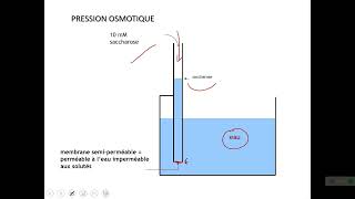 Travaux dirigés sur le milieu intérieur [upl. by Croner]