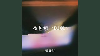 夜色摇 Dj版伴奏 [upl. by Gladys]