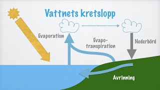 Vattnets kretslopp [upl. by Laeahcim]