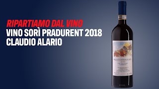 Ripartiamo dal vino Dolcetto di Diano d’Alba “Sorì Pradurent” 2018 di Claudio Alario [upl. by Biebel612]