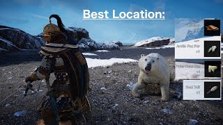 Assassins Creed Valhalla Best Location Ice Bear Arctic Fox amp Seals [upl. by Lesley]