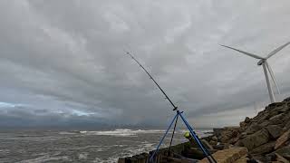 fishing at Cambois [upl. by Ordep]