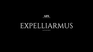 EXPELLIARMUS  OFFICIAL SONG BY ADX [upl. by Varion]