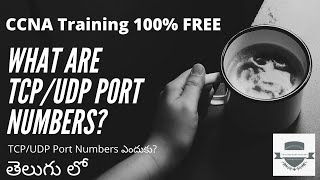 Port Numbers Explained  Cisco CCNA 200301  Networking in Telugu [upl. by Iadam449]