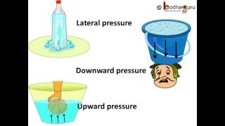 Physics  Understanding liquid pressure  English [upl. by Zuzana488]