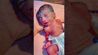 Newborn baby videonewbornbabynewborncarenewbornbabyborn [upl. by Andrien]