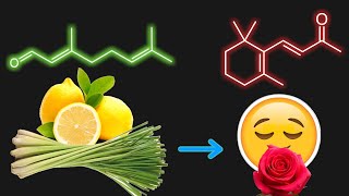 The simplest way to extract roses anyone can do it sure to succeed [upl. by Aran]