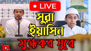 সুরা ইয়াসিন মুগ্ধকরা সুরে  Surah Yaseen Mugdhokora Sure  New Live 2024 [upl. by Annaegroeg]