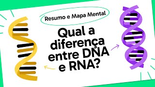 DNA E RNA  QUER QUE DESENHE  MAPA MENTAL [upl. by Quartana802]