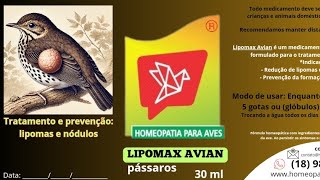 Lipomax Avian tratamento homeopático para lipomas em Pássaros e Aves [upl. by Ardnwahs]