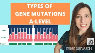 Type of GENE MUTATIONS Alevel Biology Do you know the 6 types of gene mutations [upl. by Lemmy]