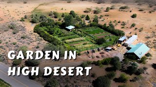 Permaculture Garden In The High Desert [upl. by Airogerg]