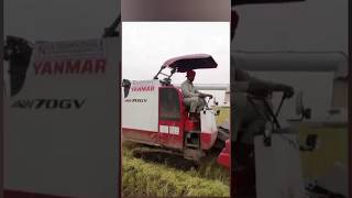 Yanmar aw 70gv power of combin harvest ✊⚡⚡youtubeshorts shorts shortsfeed yanmar [upl. by Leela730]