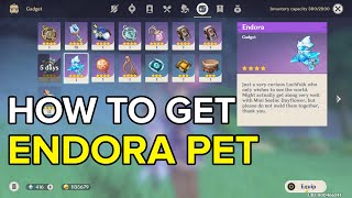 How To Get Endora Pet and Equip  Genshin Impact [upl. by Ainitsirc]