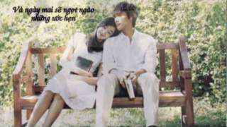 Cơn gió lạ  Phương Linh Lyrics [upl. by Assiralc]