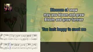 Edelweiss Sound of Music Karaoke with lyrics and music notes [upl. by Witty216]