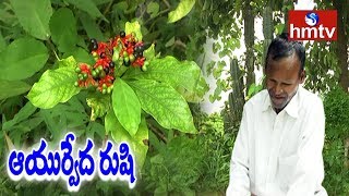 Ayurvedic Doctor For Tribals In Adilabad District  hmtv Telugu News [upl. by Faria]