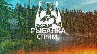 Стрим Русская Рыбалка 4 pp4 русскаярыбалка4 КОПЛЮ НА КАТУШКУ И КАРПОВИК [upl. by Cusick]