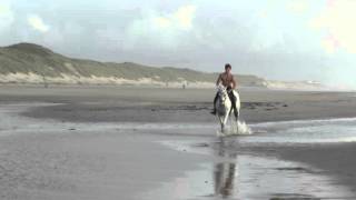 Making of Horse and Hunk kalender 2016 met Max Englander in galop [upl. by Mercy]