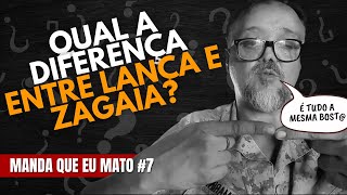 Qual a DIFERENÇA entre LANÇA e ZAGAIA MQM 7 [upl. by Himelman]