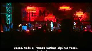 REM  Everybody Hurts Subtitulado en Español [upl. by Llednyl388]