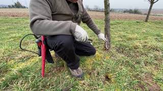 Méthode pour accélérer le recouvrement d’une plaie sur arbre fruitier Assoc fruitière de Haguenau [upl. by Aerdnaz]