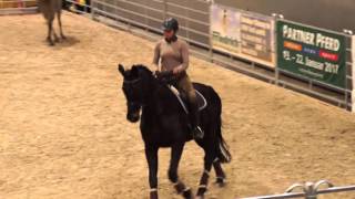 Partner Pferd 2016  Maria Ratmann amp Margaux Brauleke [upl. by Gibeon]