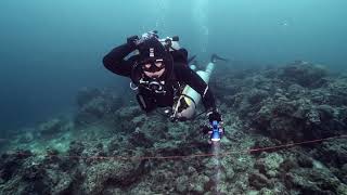 Technical Diving  TDI Advanced Nitrox amp Decompression Procedure by 브라더스쿠바 [upl. by Concoff419]