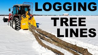 LOGGING TREE LINES ON THE FARM [upl. by Ahsinoj]