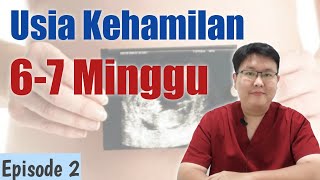 USIA KEHAMILAN 67 MINGGU eps 2  TANYAKAN DOKTER [upl. by Innor]