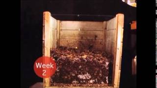 Compost TimeLapse [upl. by Nylhtac696]