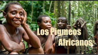 Los Pigmeos Africanos un Pueblo Conocido Por su Baja Estatura  TeofiloMediaTV [upl. by Adnilahs711]