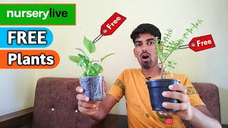 Nurserylive Free Plants  Nurserylive plants review  Nurserylive coupon code [upl. by Pinto]