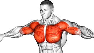 The Best Chest Workout Guide To Build A Massive Pec [upl. by Annenn]