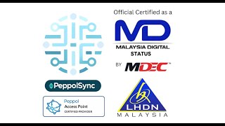 PeppolSync EInvoice Demo Simplify Compliance with Malaysia’s EInvoicing System [upl. by Trimble]