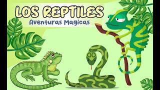 Los Reptiles  Video Educativo Para Niños [upl. by Deidre192]