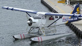 De Havilland Canada DHC2 Beaver Engine StartUp amp Takeoff [upl. by Niboc]