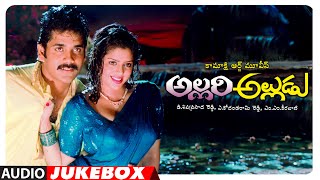 Allari Alludu Telugu Movie Video Songs Raika Chooste Telugu Video Song Nagarjuna Meena YouTu [upl. by Neladgam]