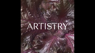 Meet the Artistry™ Brand  Skin Nutrition  Amway [upl. by Aiekam72]