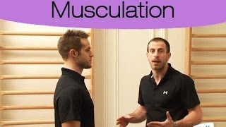 Pliométrie  développer la force de vos muscles [upl. by Huston]