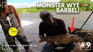 MONSTER Barbel  River Wye fishing with AvonAnglingUK [upl. by Euqinemod]